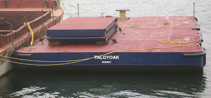 Taloyoak